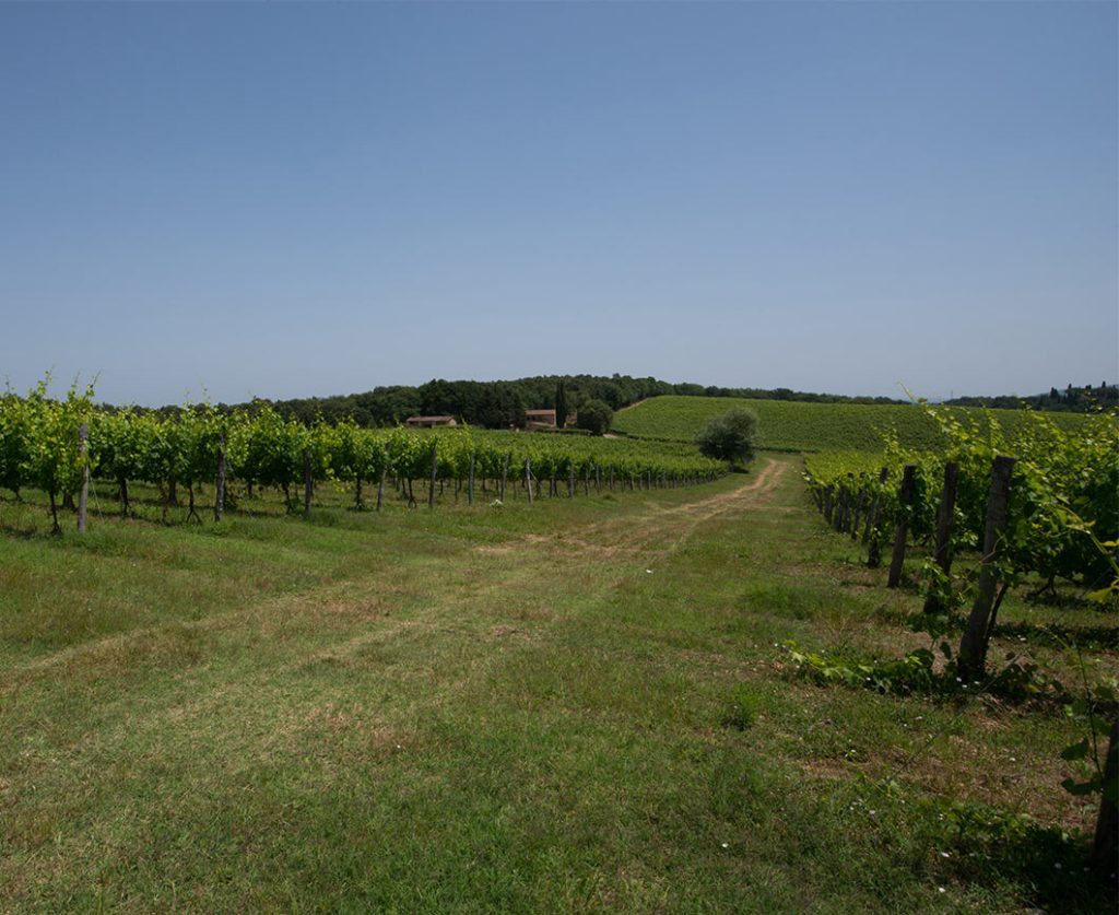 trekking-campagna-tenuta-mensanello-1024x837