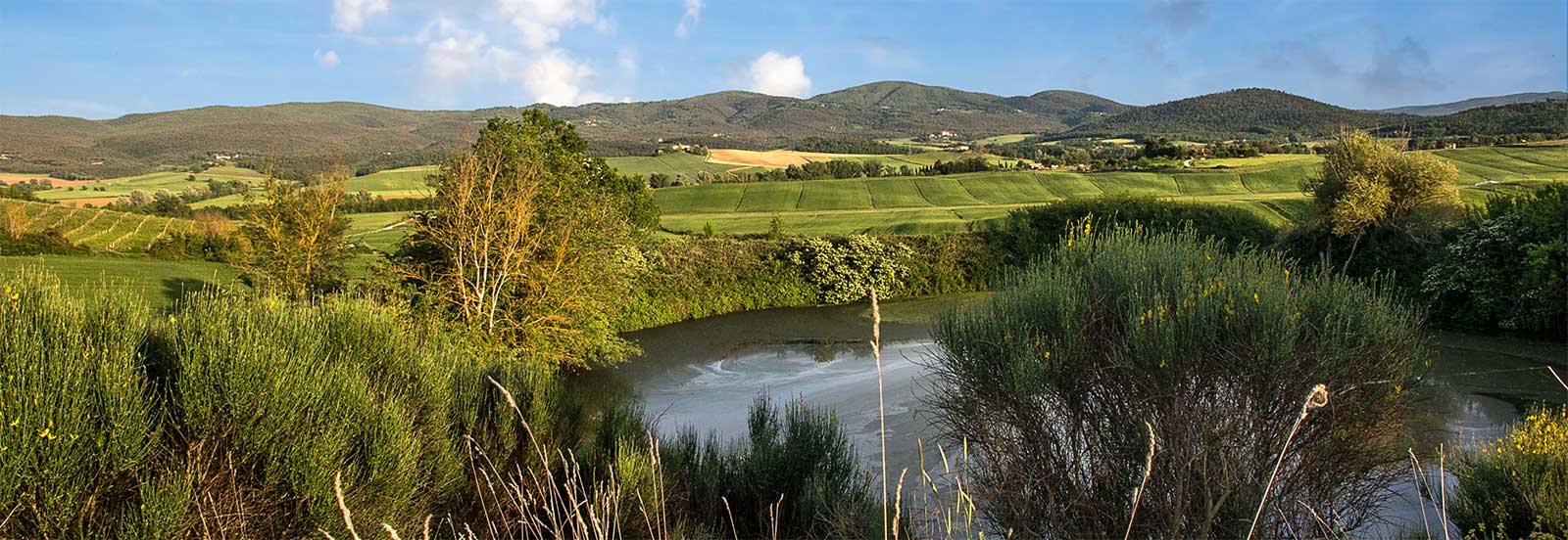 campagna-tenuta-di-mensanello La campagna della tenuta di Mensanello