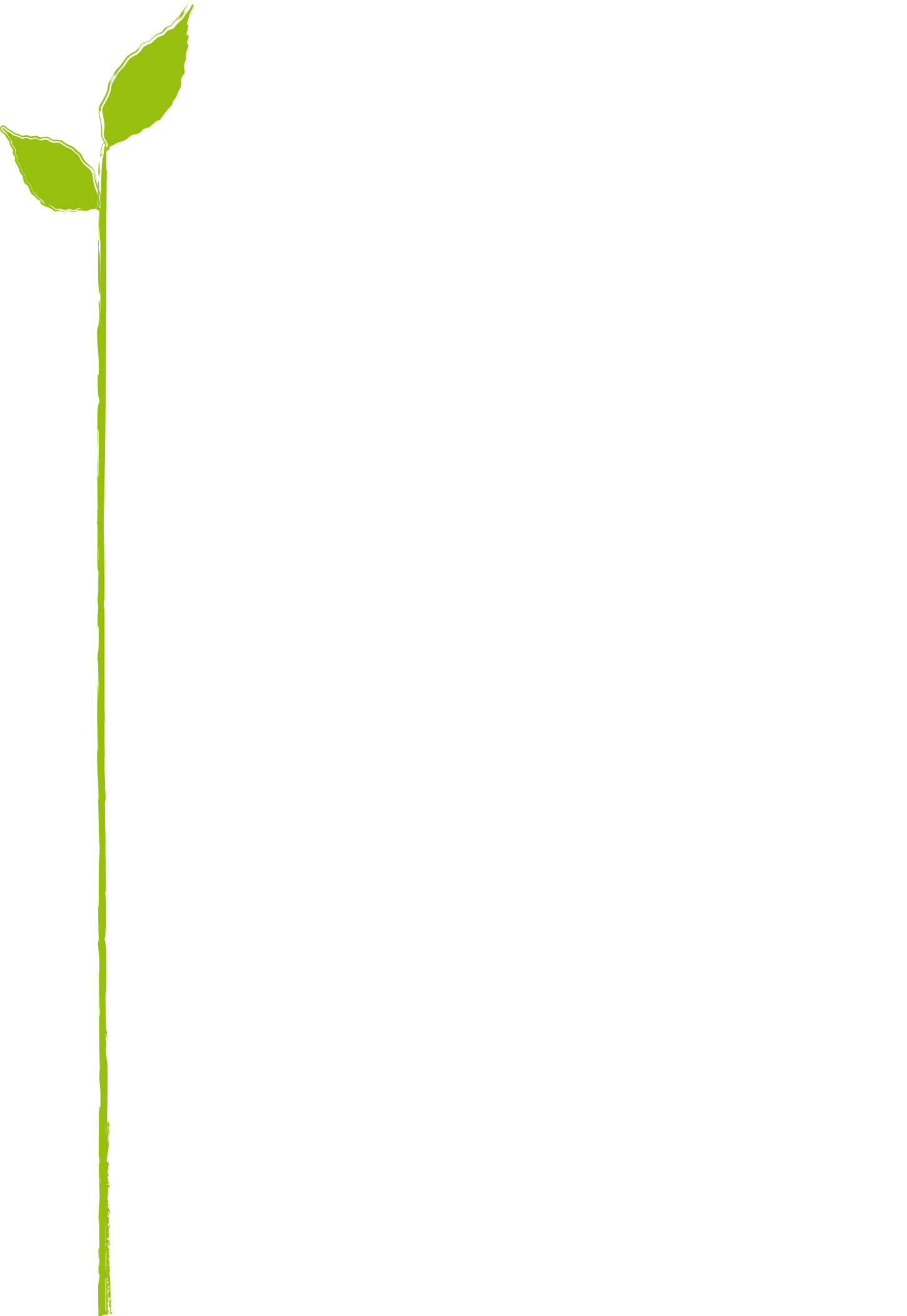 Tenuta di Mensanello
