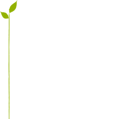 Tenuta di Mensanello