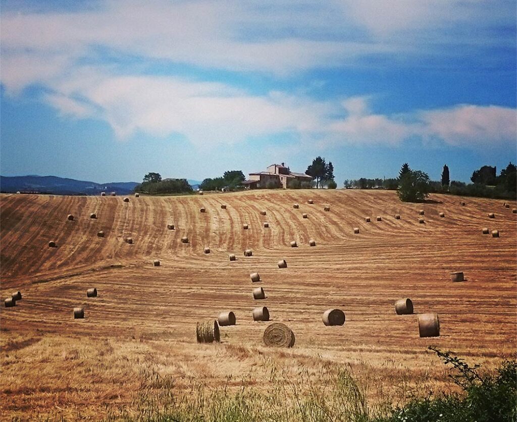 Tenuta di Mensanello